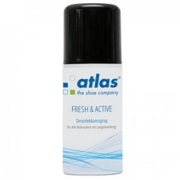 Desinfektionsspray Fresh & Active